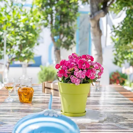Perivoli 3-chora Apartment *